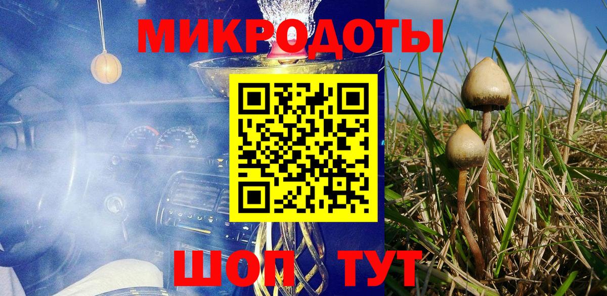 Псилоцибиновые грибы мухоморы  где продают   Алейск  Вход с VPN 
